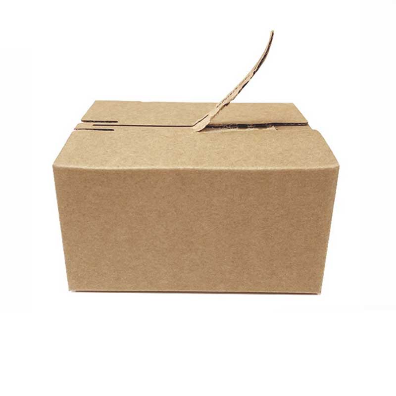 Custom Shipping Carton with Zipper